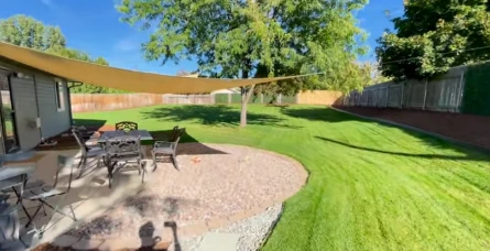 Finished lawn grown in after hydroseeding